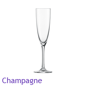ADIT Generic Product Champagne No Pointer