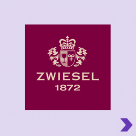 Zwiesel 1872 Logo Pointer